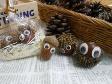 ドングリに目玉シールを貼った可愛らしい装飾品