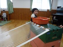 斜めに立てかけられたトタンの写真