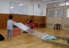 トタンの上でドングリを転がしている写真