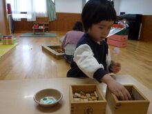 木の実や木片を手に取るこどもたちの写真1