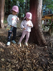 落ち葉の上を歩くとカサコソと音がしました