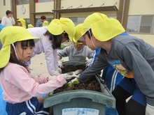 ツルを抜いて、土の中を掘り進めていきます