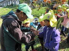 地域の方にうまく柿がとれるコツを教えてもらいました