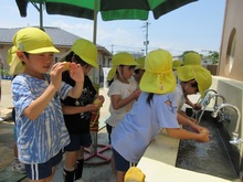 水道あらいをするこどもたち