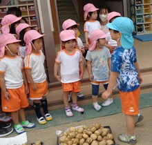 5歳児が3歳児にジャガイモを収穫したことを伝えている写真