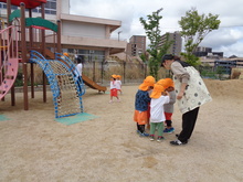 園庭で捕まえたダンゴムシをみんなで見ています。