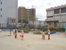 5歳児の園庭でのサッカー遊びです。