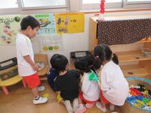 ツマグロヒョウモンの幼虫を5人の子どもが集まって見ています。