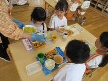 5歳児が玉ねぎを収穫して、カレー炒めで給食時に食べています。