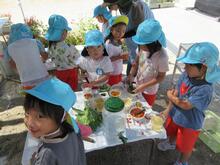 花びら等の自然物を使って遊びます。