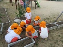 ダンゴムシをみんなで探しています。