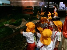 大きなサメにびっくりです。