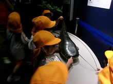 琵琶湖大ナマズの模型を触っています。