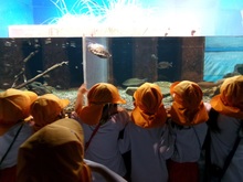 カメに夢中です。