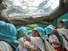 水族館の中で見つけた生き物を指さしながらワクワクしています。