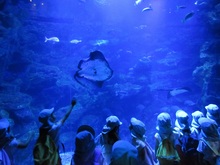 神秘的な水の中、青い海がきれいです。