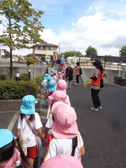 5歳児が4歳児をリードして図書館までの道を安全に歩いています。