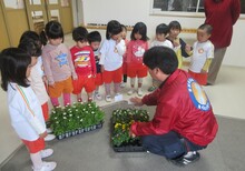 草誠クラブの方から、花の苗をいただきました。