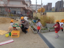 千日紅のお花の前は、レストラン遊びでにぎわっています。