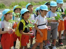 野菜の苗あてクイズで、自分の思ったことを伝えていきました