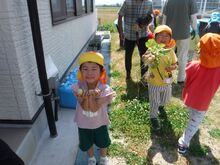 ４歳児ジャガイモの収穫の様子